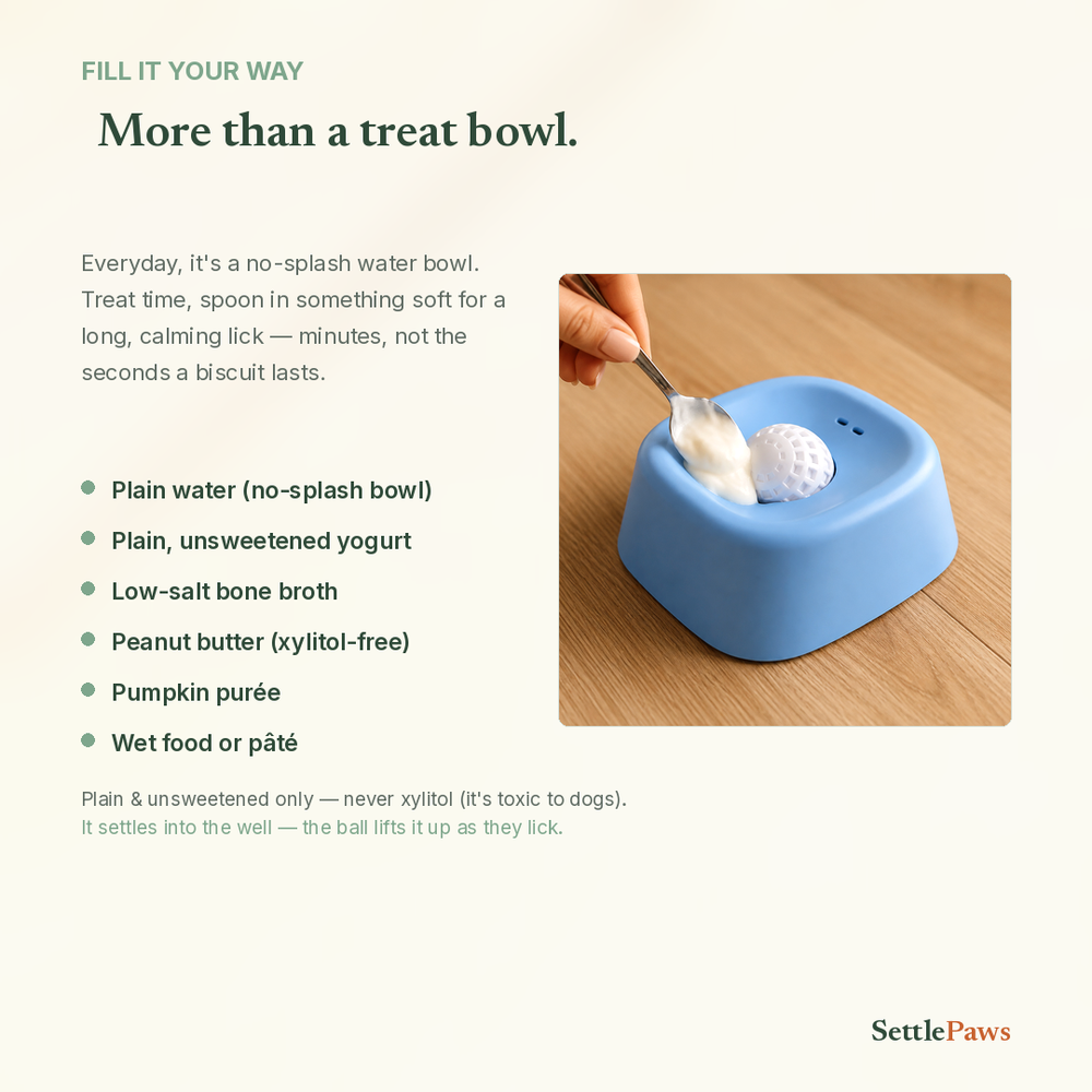 What to spread in the lick bowl — yogurt, pumpkin, wet food or broth