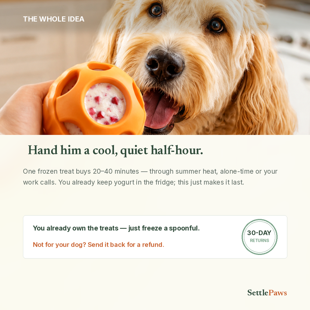 Frozen dog treat set — a cool, calm 20 to 40 minutes of licking