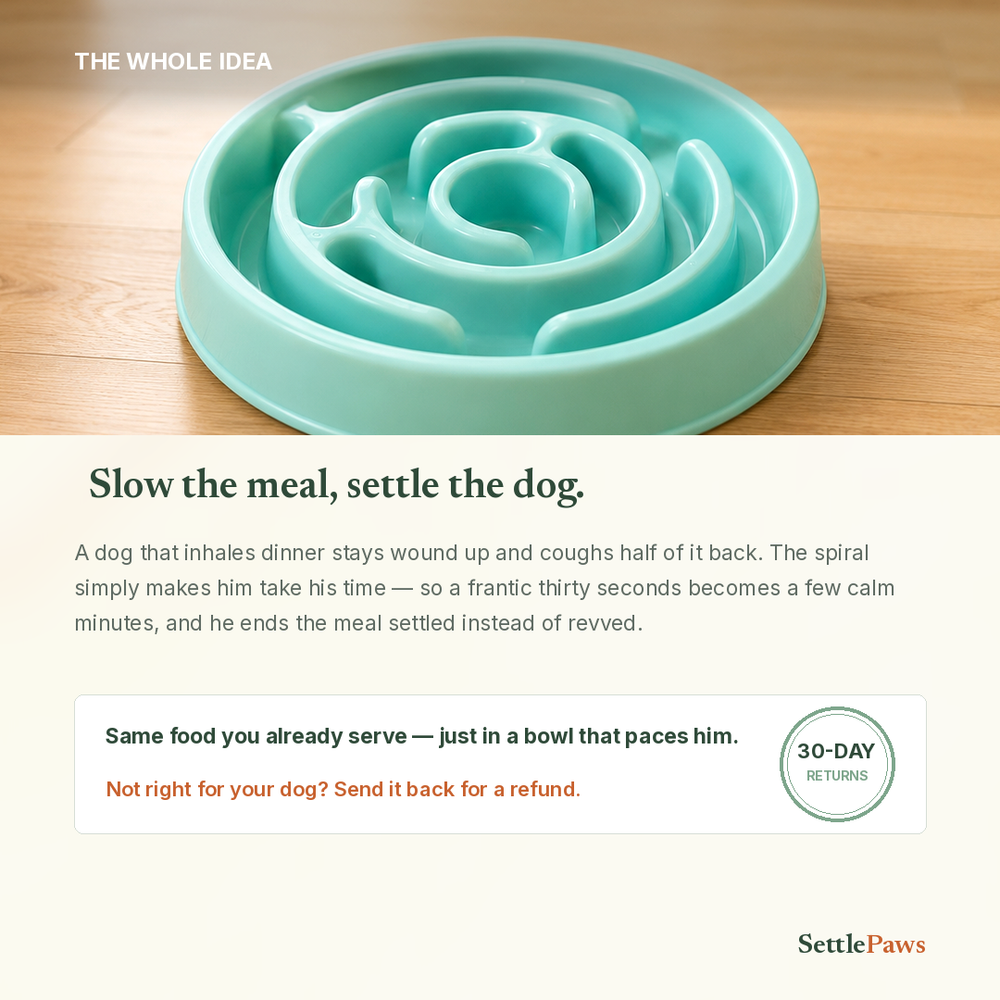 Mint-green slow feeder maze bowl for dogs — slow the meal, settle the dog
