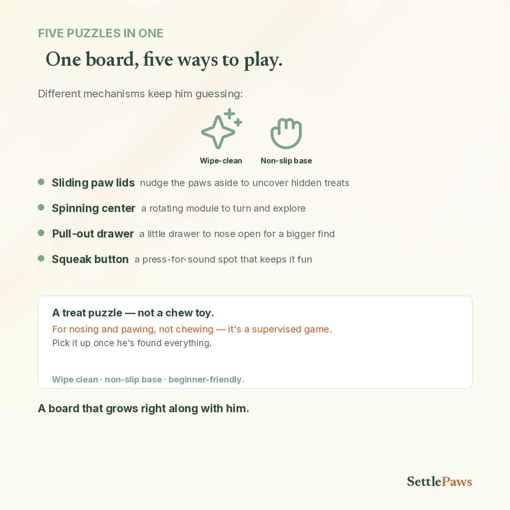 Dog puzzle board features — five play mechanisms in one disc, beginner-friendly, non-slip