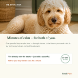 Calming lick bowl for dogs — a self-soothing routine for anxious pups
