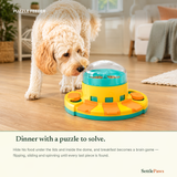 Dog nudging the 2-level puzzle feeder dome with its nose