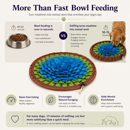 Dog Snuffle Mat Slow Feeder – Interactive Enrichment Toy for All Breeds