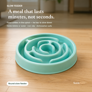 Maze Bowl