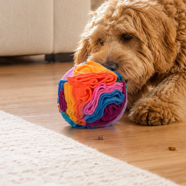 Dog Enrichment Starter Pack Mental Stimulation Toys