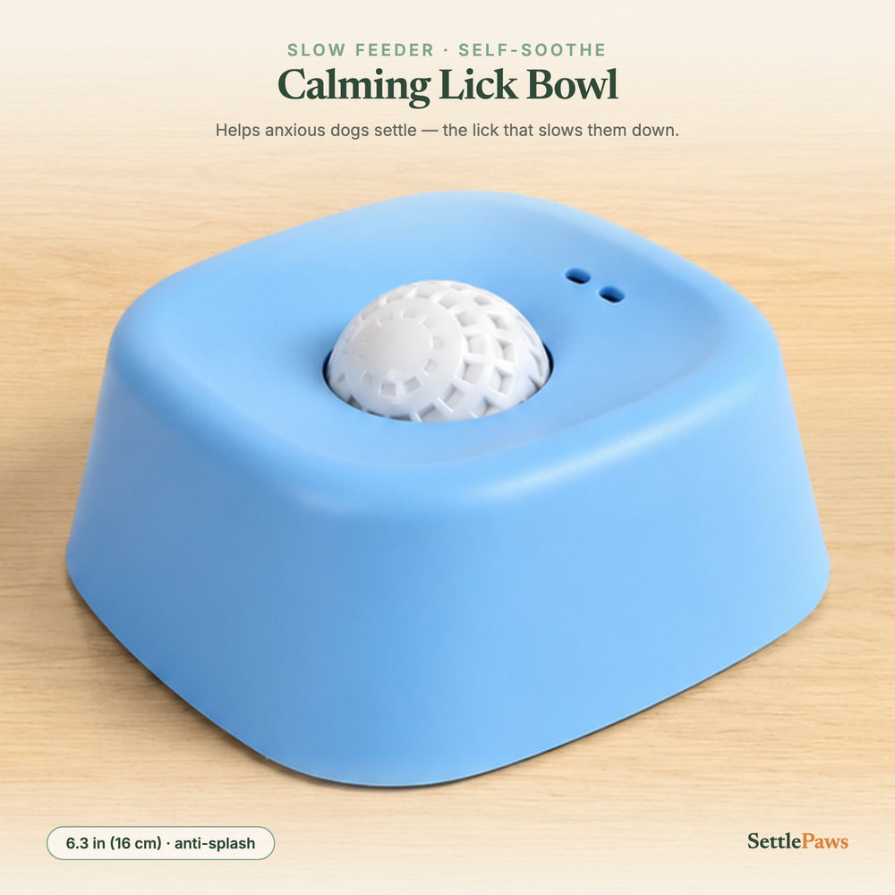 Blue calming lick bowl for dogs — anti-splash slow feeder