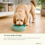 Dog eating from the mint-green maze slow feeder, nose following the spiral