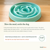 Mint-green slow feeder maze bowl for dogs — slow the meal, settle the dog