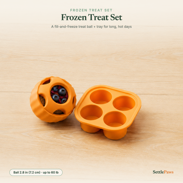 Orange pupsicle treat ball and silicone freezing tray for dogs, with a frozen treat inside the ball