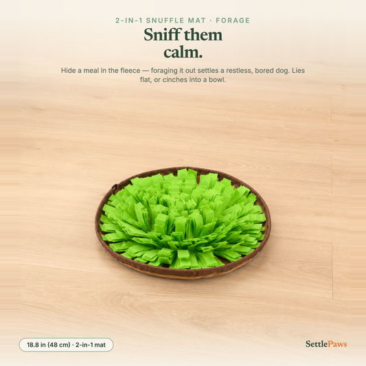 Green round dog snuffle mat with kibble hidden in the fleece pile