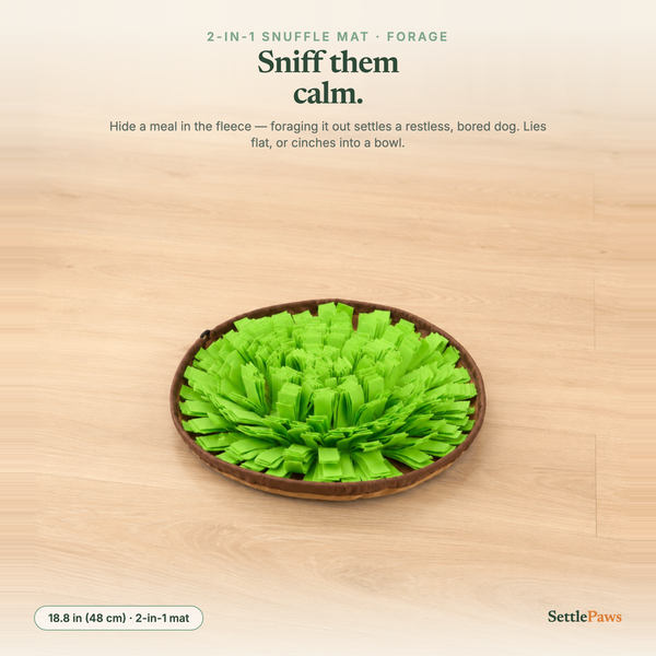 Green round dog snuffle mat with kibble hidden in the fleece pile