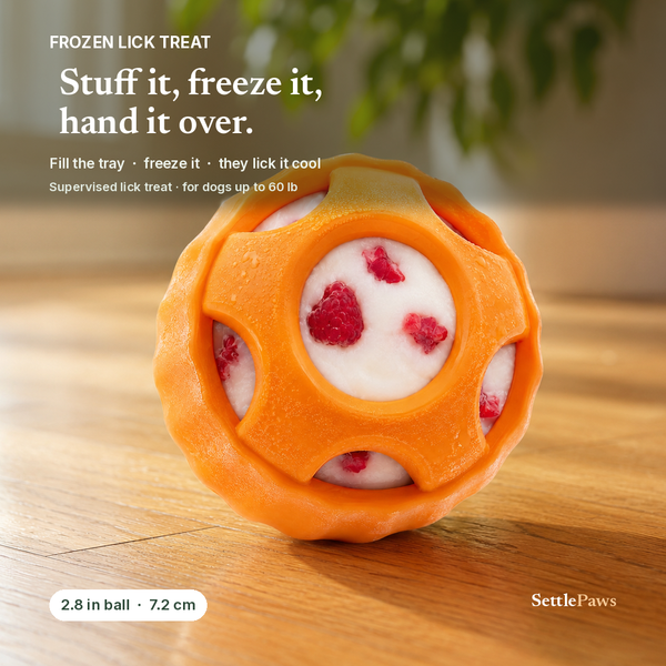 Orange petal-slot Pupsicle ball on the floor with a frozen yogurt-and-berry disc inside — frozen dog treat set