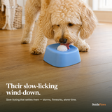 Calming Lick Bowl — calm dog at home