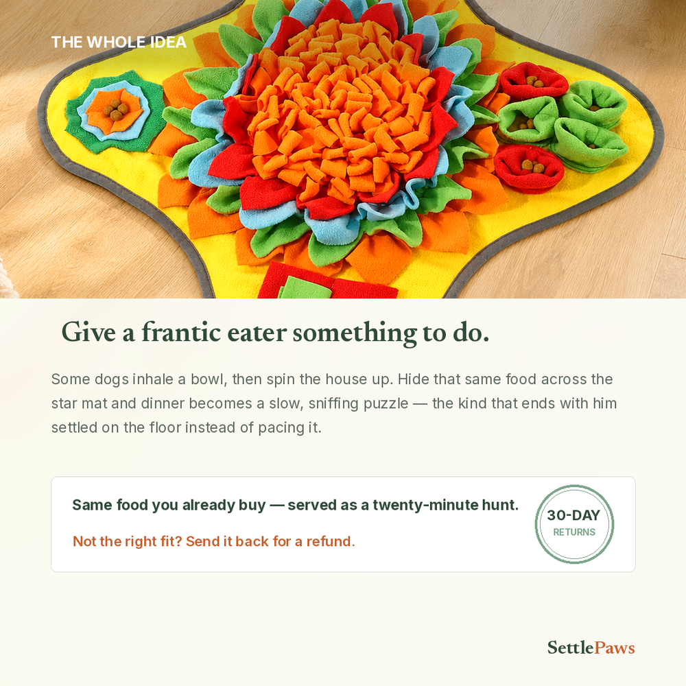 Flower snuffle mat for dogs turns mealtime into a calm sniffing hunt