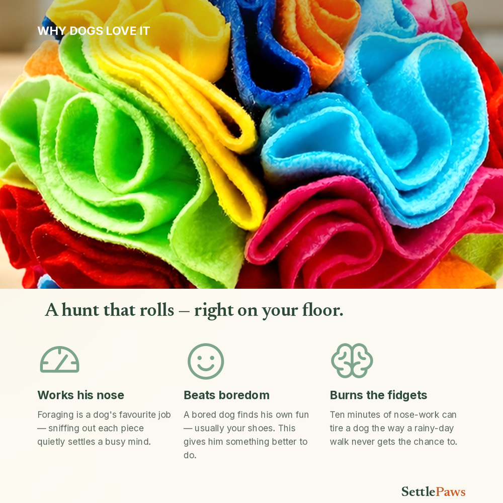 Close-up of the soft rainbow fleece petals of the snuffle ball