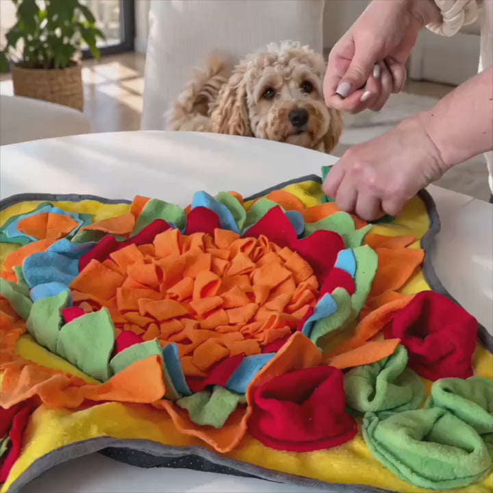 Dog foraging in a flower snuffle activity mat