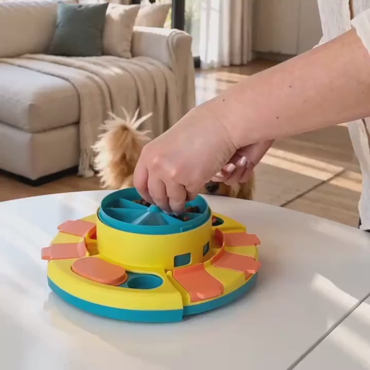 Dog using a two-level puzzle feeder