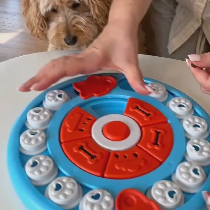 Dog exploring the blue puzzle board