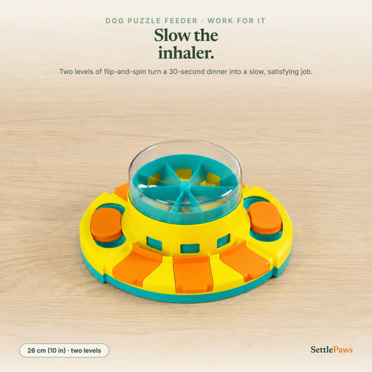 Two-level dog puzzle feeder with flip-top lids, sliders and a clear spinning dome hiding kibble