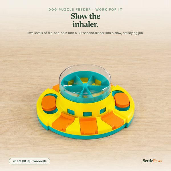 Two-level dog puzzle feeder with flip-top lids, sliders and a clear spinning dome hiding kibble