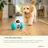 Dog following the wobble treat robot across the floor as it drops kibble