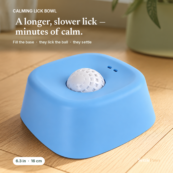 Calming lick bowl for dogs: soft-blue bowl with a white frosted rotating ball and raised anti-splash rim