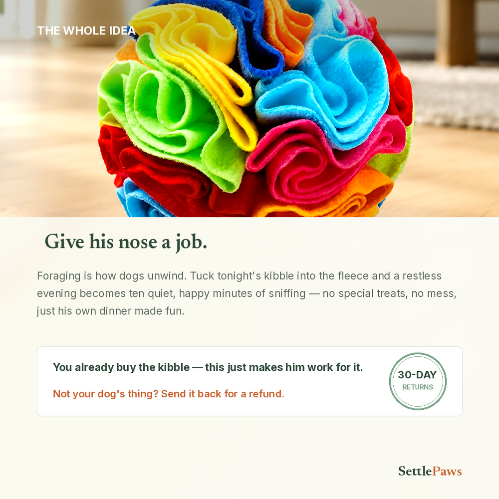 Rainbow snuffle ball for dogs — ten minutes of sniffing, a calmer dog